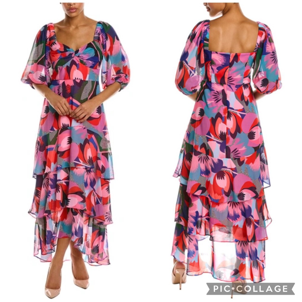 Hutch Louisa Dress Pink Multicolor Chiffon Maxi Size 0 NWT - Picture 7 of 17